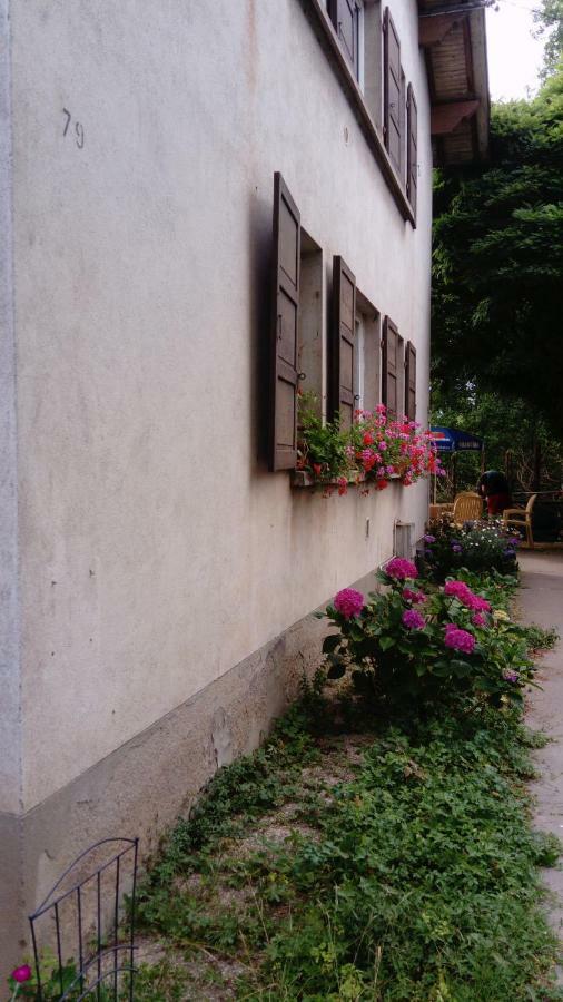 Au Gre Des Sentiers Chez Marie Et Pierre Panzió Saint-Dié-des-Vosges Kültér fotó