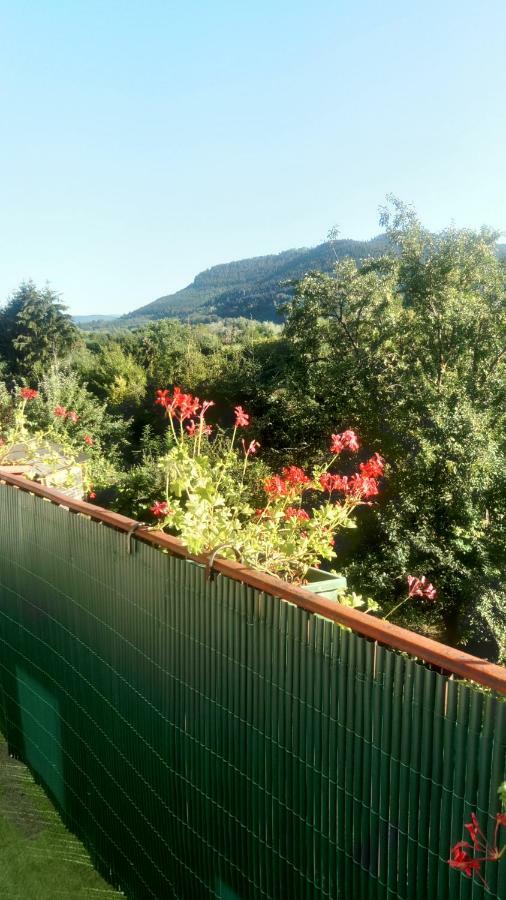 Au Gre Des Sentiers Chez Marie Et Pierre Panzió Saint-Dié-des-Vosges Kültér fotó