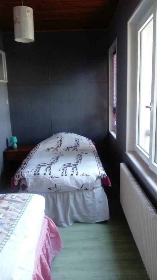 Au Gre Des Sentiers Chez Marie Et Pierre Panzió Saint-Dié-des-Vosges Kültér fotó