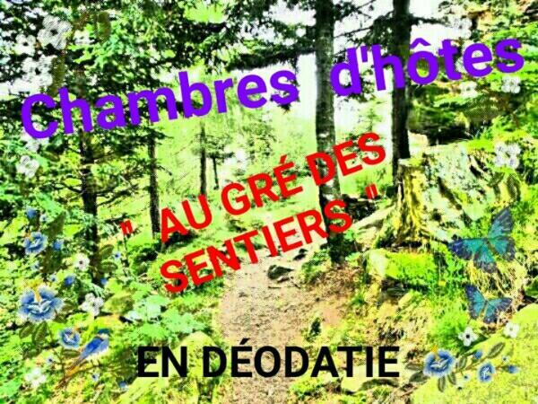 Au Gre Des Sentiers Chez Marie Et Pierre Panzió Saint-Dié-des-Vosges Kültér fotó