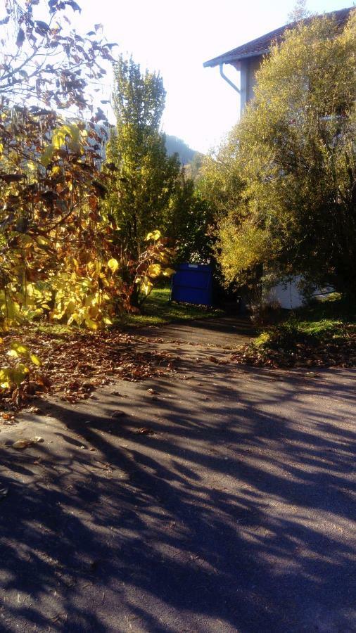 Au Gre Des Sentiers Chez Marie Et Pierre Panzió Saint-Dié-des-Vosges Kültér fotó