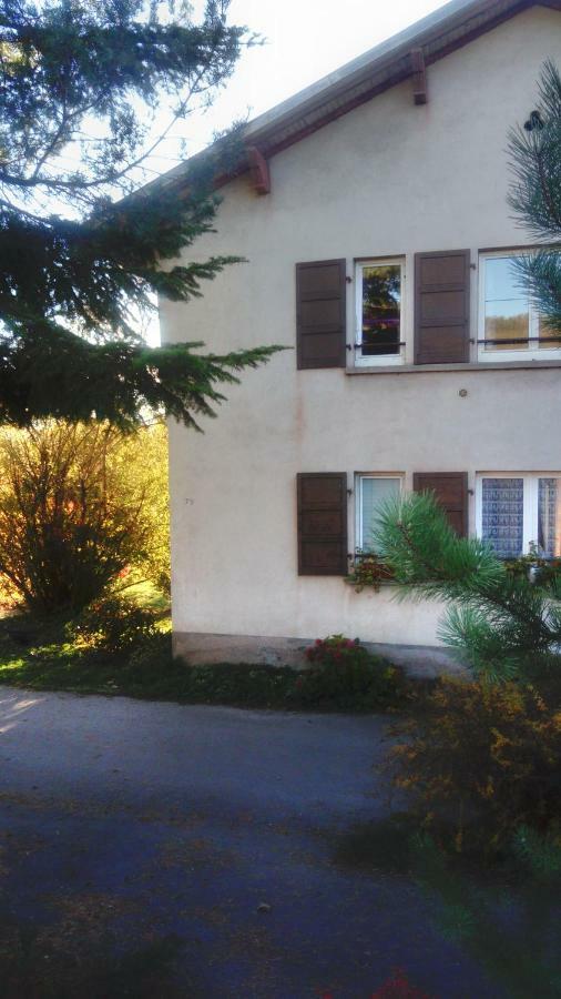 Au Gre Des Sentiers Chez Marie Et Pierre Panzió Saint-Dié-des-Vosges Kültér fotó
